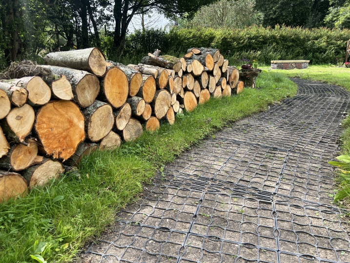 Bug hunting area logs Martin Mere.JPG